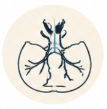 cranial compression CSF drainage chronic fatigue